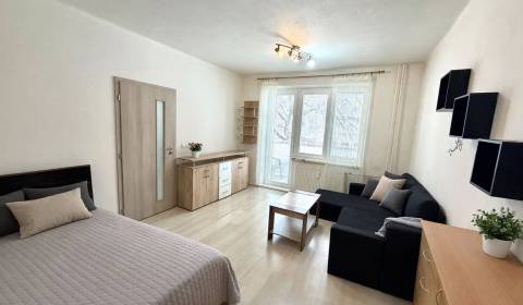 NA PRENÁJOM 1-IZBOVÝ BYT S LOGGIOU, PALÁRIKOVA UL., SENICA