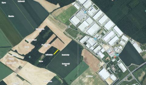 LESNÝ POZEMOK, VEĽKÝ BIEL