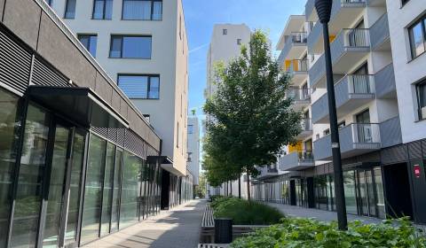 NIVY/JARABINKY - obchodný priestor 62,15 m2  na pešej zóne na prenájom