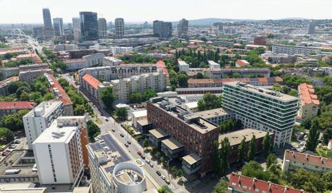 Reprezentatívne priestory 360m2, Viktória, Nivy