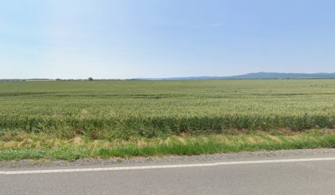 1.BCR | ORNÁ PÔDA, ŠIROKÝ POZEMOK, BUDMERICE