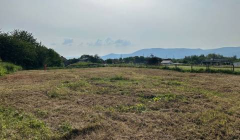 Pozemok na Predaj 5500 m2, Mesto: Žilina