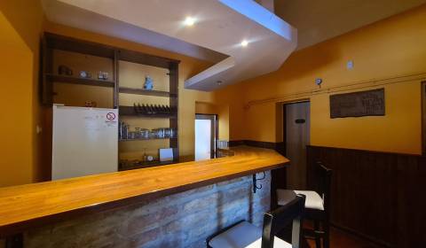 Na predaj rodinný dom - podnikanie Kravany nad Dunajom !