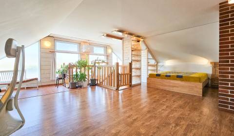 Rodinný dom - Leopoldov - Celková rozloha 428m²