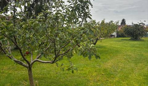 Veľký STAVEBNÝ POZEMOK v centre PEZINKA so zrekonštruovaným domom
