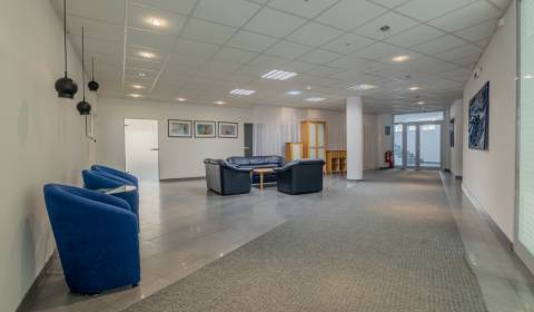 PRENÁJOM kancelárií uprostred Starého mesta - Palisády