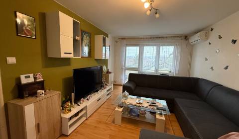 NOVINKA   Priestranný 3 izbový byt  s balkónom a záhradkou Ludanice .