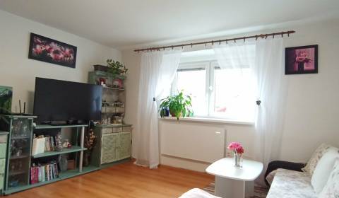 Útulný domček s dušou a moderným komfortom – Divín