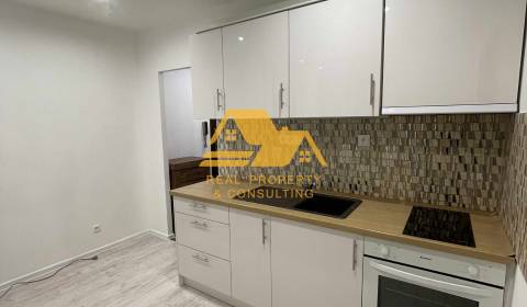 Prenajmem prerobený 1 izbový byt v Nových Zámkoch