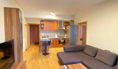 Veľký  2i.  byt + 2x balkón  v Stupave.