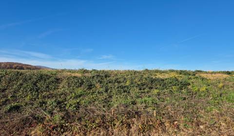 Stavebný pozemok, Velčice, 981 m2, okr. Zlaté Moravce