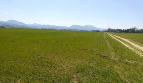 MARTIN- Záturčie pozemok na developerské a komerčné účely 4662 m2