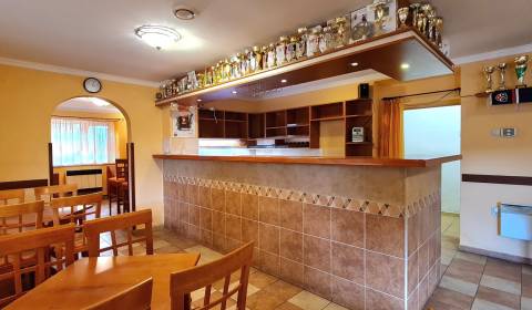 Predaj Domu (obchodného priestoru) v obci Lovča