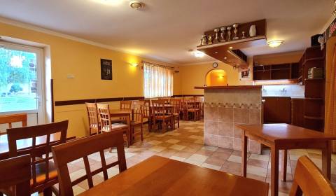 Predaj Domu (obchodného priestoru) v obci Lovča