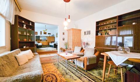 Bývanie s výhľadom na zámok a obrovským potenciálom v Trstíne