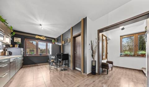 Na predaj 5-izb. rodinný dom na 50-á pozemku, Sap