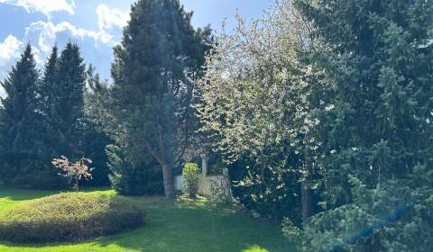 Lukratívny stavebný pozemok, 800 m2, Martin - Kolónia Hviezda