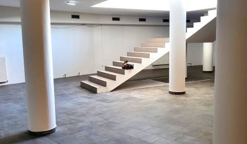 Predaj obchodný priestor, Vajnorská ulica, Bratislava III. Nové Mesto