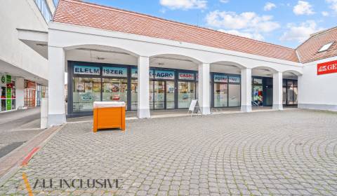 NA PRENÁJOM OBCHODNÝ PRIESTOR V DUNAJSKEJ STREDE