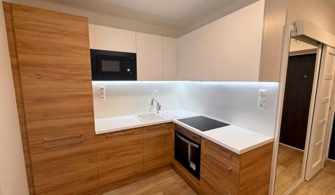 NA PRENÁJOM 2 IZBOVÝ ŠTÝLOVÝ BYT PO REKONŠTRUKCII