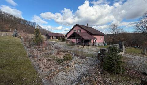 Usadlosť na polosamote s 1,9ha pozemkom Lukovištia