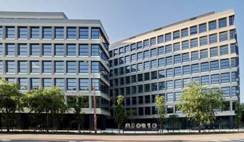 Obchodné priestory 333m2, Apollo Nivy, Prievozská ul., Nivy