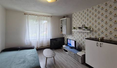 1-IZBOVÝ BYT, 31 M2 ZVOLEN - SEKIER