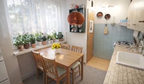 REZERVOVANÉ Predaj_investičný 2 izbový byt, Bôrik_Staré Mesto