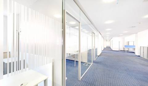 Prenájom kancelárskych priestorov 297 m², Košická ul., Nivy           