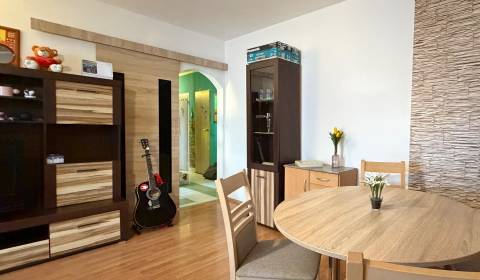 PREDAJ 3i BYT S KOMOROU, BALKÓNOM, ŠATNÍKOM A PIVNICOU, SNP MYJAVA