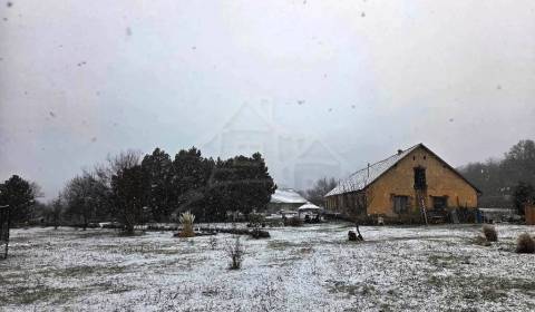 27130m2 samota obklopená lesom - Šalov, okres Levice