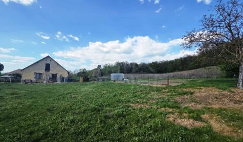 27130m2 samota obklopená lesom - Šalov, okres Levice