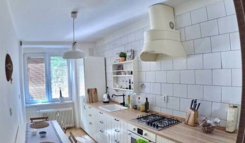 Veľký 2-izb. byt v tehlovom dome, Ružová dolina, Ružinov časť Nivy