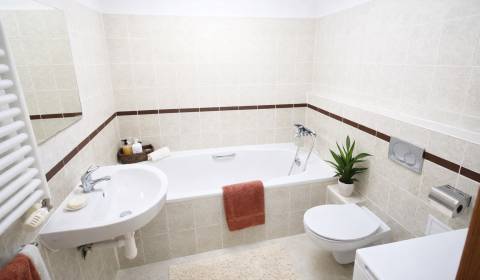 Prenájom 2-izbový byt + bazén na streche-ROZADOL - Ružinov