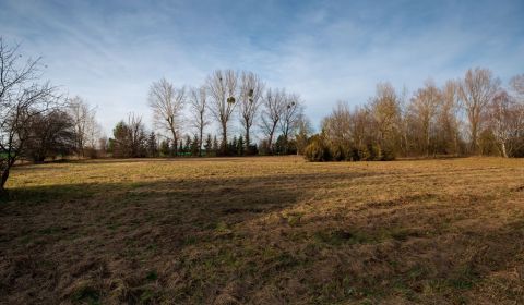 Predaj investičného pozemku - Stupava – extravilán- 13 804 m²
