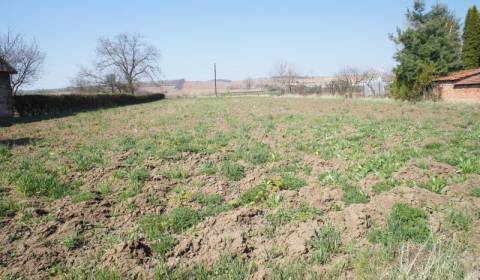 Pozemok v obci Koniarovce v slepej uličke