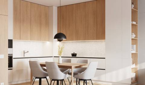 PROJEKT POD VINICOU | 4-IZB. BYT, UZAVRETÝ AREÁL, HOLOBYT, NOVOSTAVBA