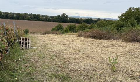 Predaj investičného pozemku – Zvončín