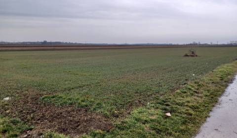 Pozemok na predaj - Mostová