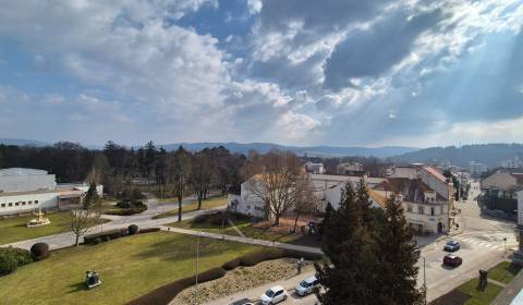 Predávame polohu - výhľady na mestský park a pešiu zónu Piešťan