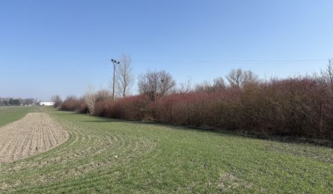 NA PREDAJ pozemok /5 559 m2/ v Komárne časť Malá Iža