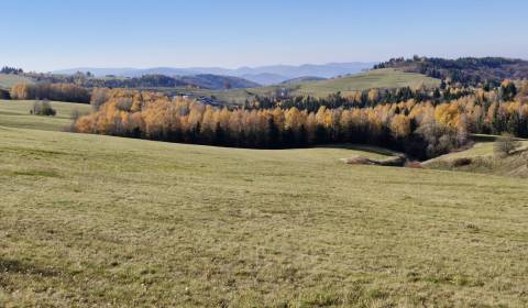  Pozemok na predaj v obci Detvianska Huta.