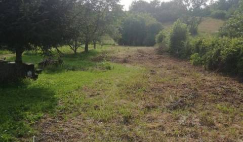 Na predaj pozemok v obci Rokytov pri Humennom