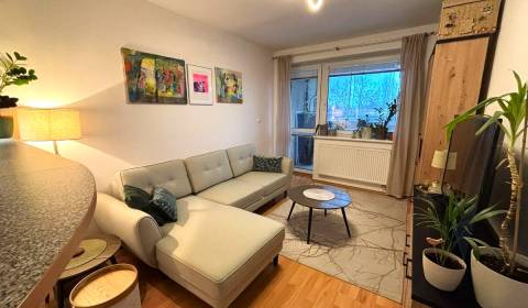 Pekný zariadený 3 izbový byt s lodžiou,  Mierová ulica, BA II. Ružinov