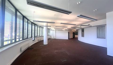 Prenájom moderných kancelárií na začiatku Petržalky, 24m2-230m2-730m2