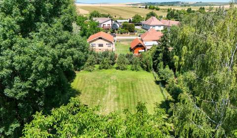 Rodinný dom s krásnym 18 á pozemkom ( stavebným) - Nové Sady 