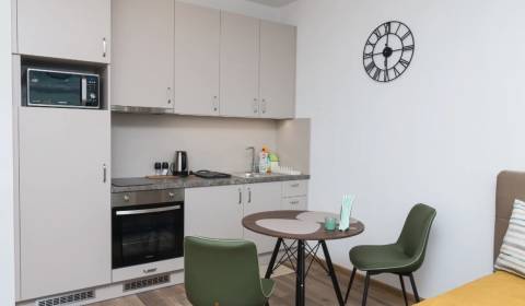 Krásny nový 1izb byt na prenájom Ivanka pri Dunaji 540,-Eur