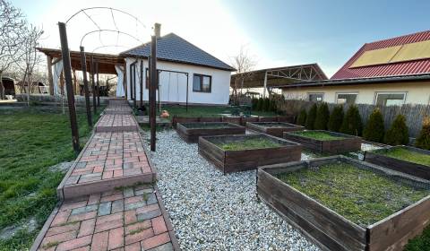 Rodinný dom s pozemkom 3501 m2 Komárno -časť Kava