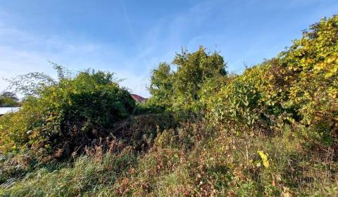 Pozemok so starým domom v kľudnej časti podunajskej vinárskej dedinky 