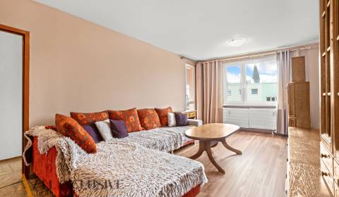 REZERVOVANÉ 4-IZB VEĽKOMETRÁŽNY BYT S BALK., DUN.STRED